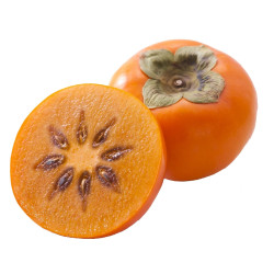 KAKI KG
